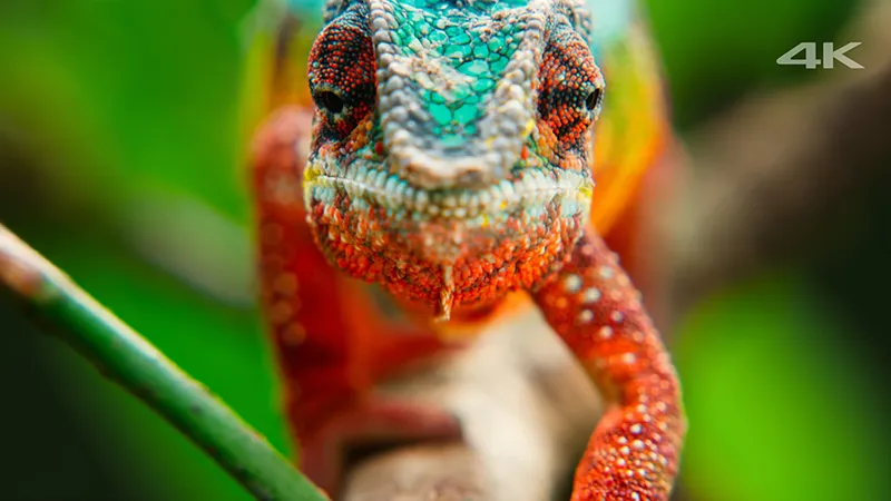 모니터의 해상도