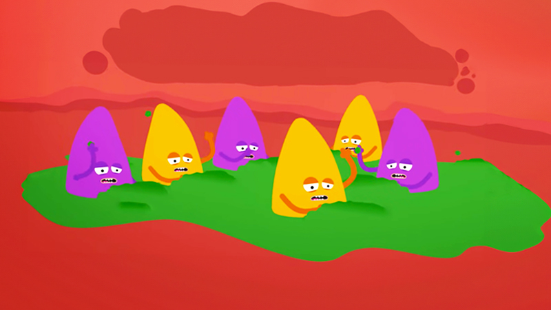 세균, 곰팡이, 효모가 음식물을 분해