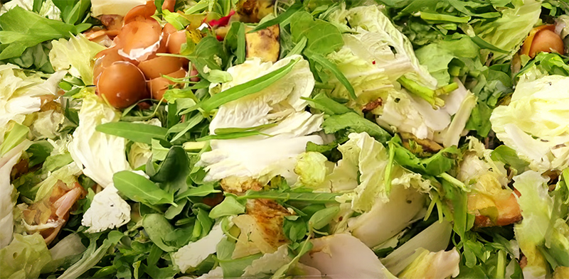 음식물 처리기 지원금 지원 개요