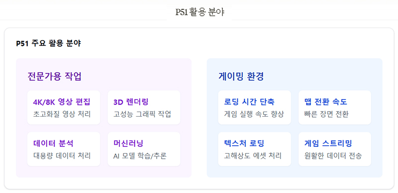 P51 활용 분야