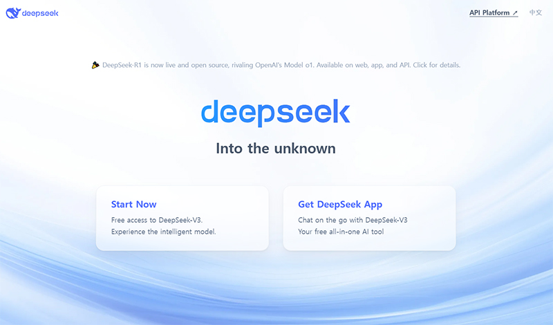deepseek 공식 홈페이지