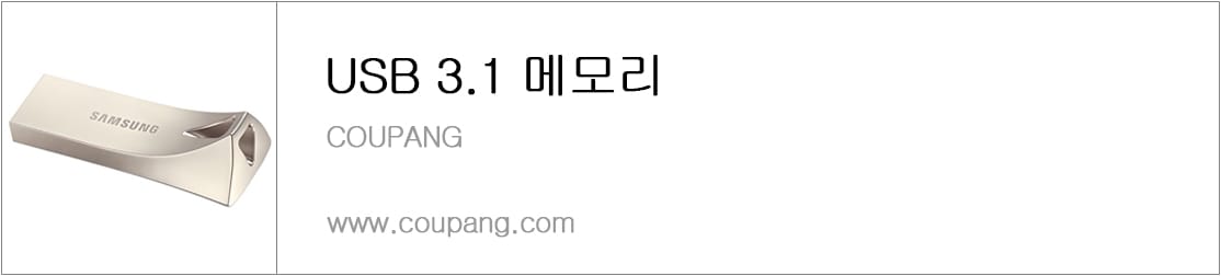 USB 3.1 메모리