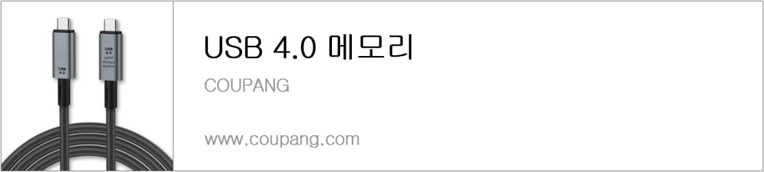 USB 4.0 메모리
