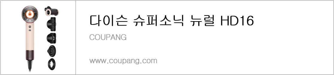 다이슨 슈퍼소닉 뉴럴 HD16