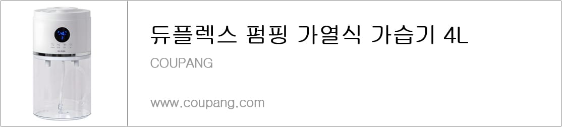 듀플렉스 펌핑 가열식 가습기 4L